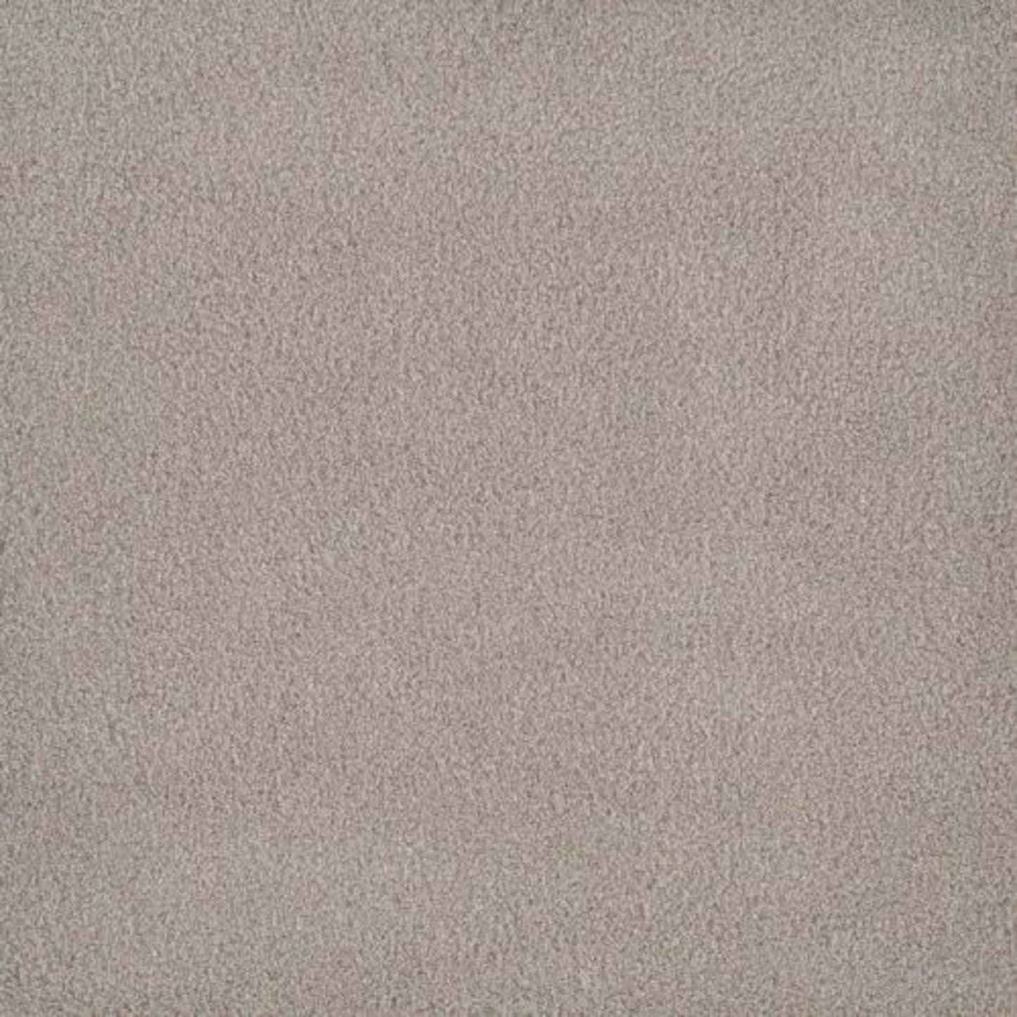 PALMETTO II in Gardenia Carpet