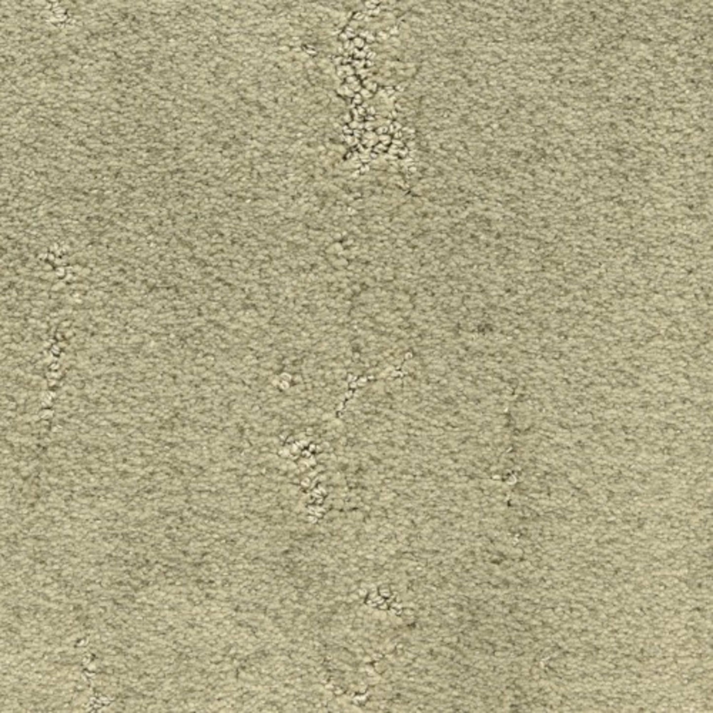 Imperial Point in Meadow Carpet