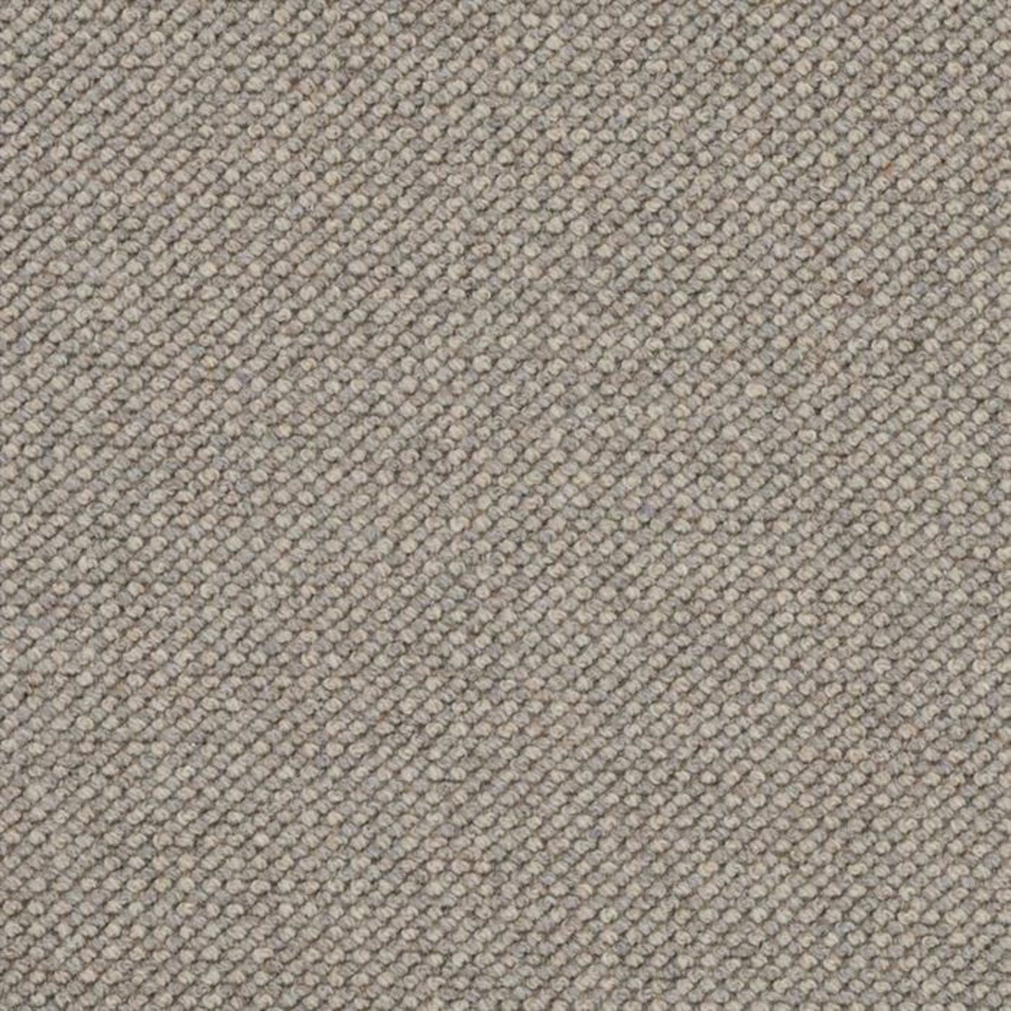 Intention in Fossil Carpet