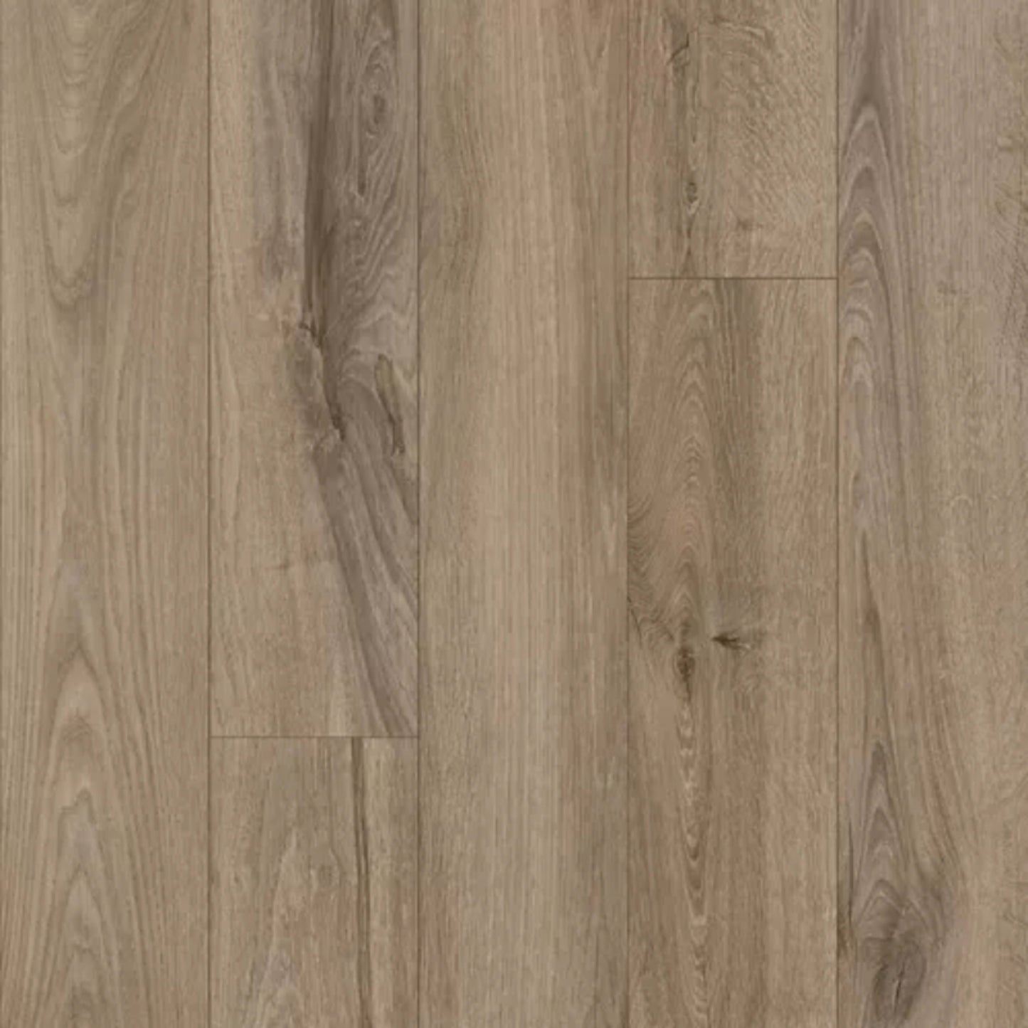 Refined Forest in Platinum