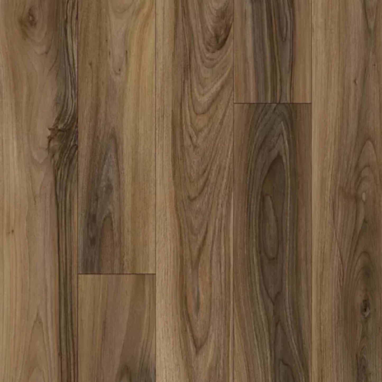 Refined Forest in Platinum