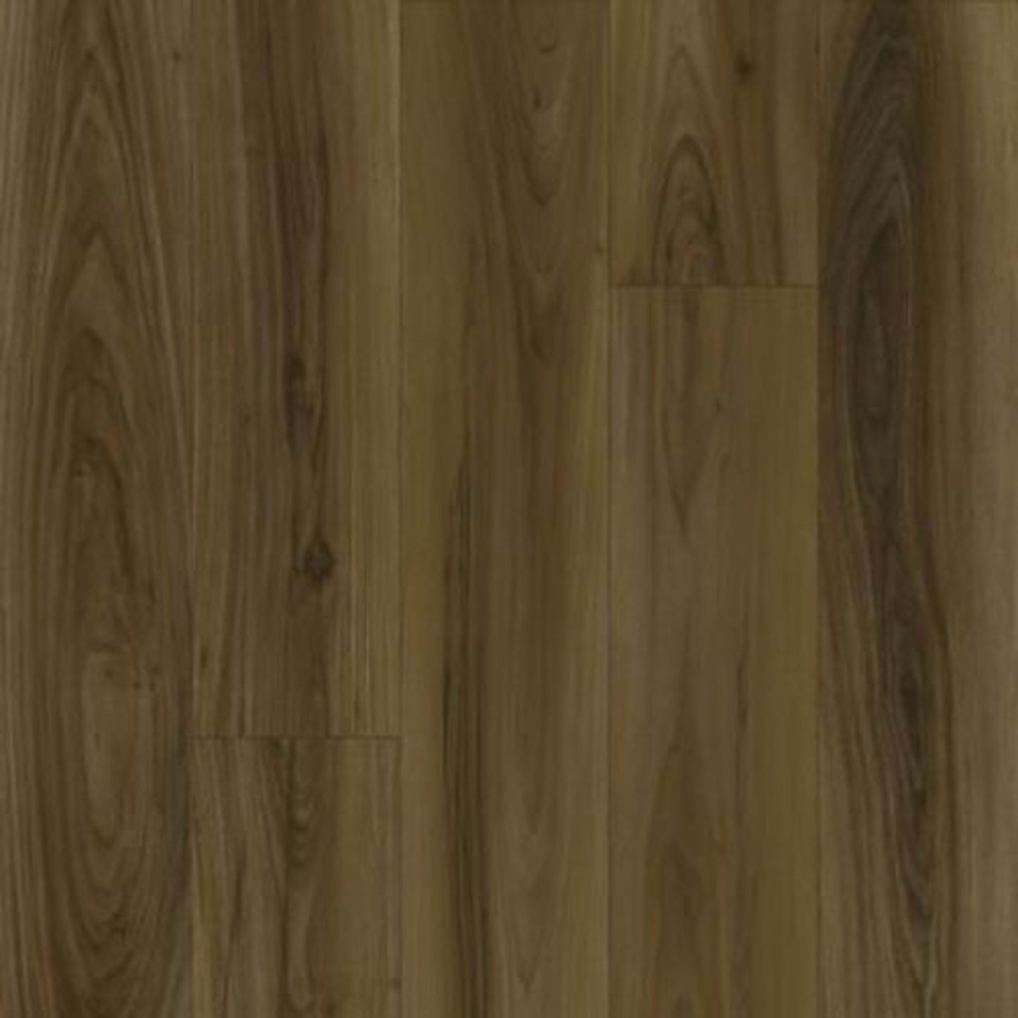 Curated Grain in Natural