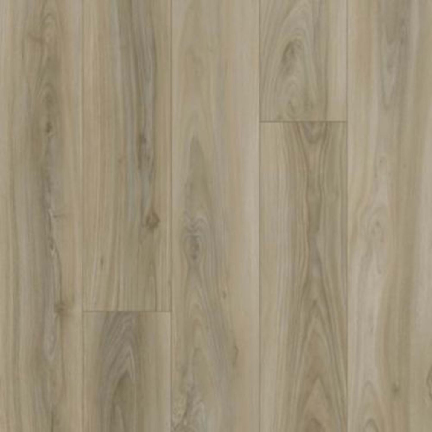 Curated Grain in Natural