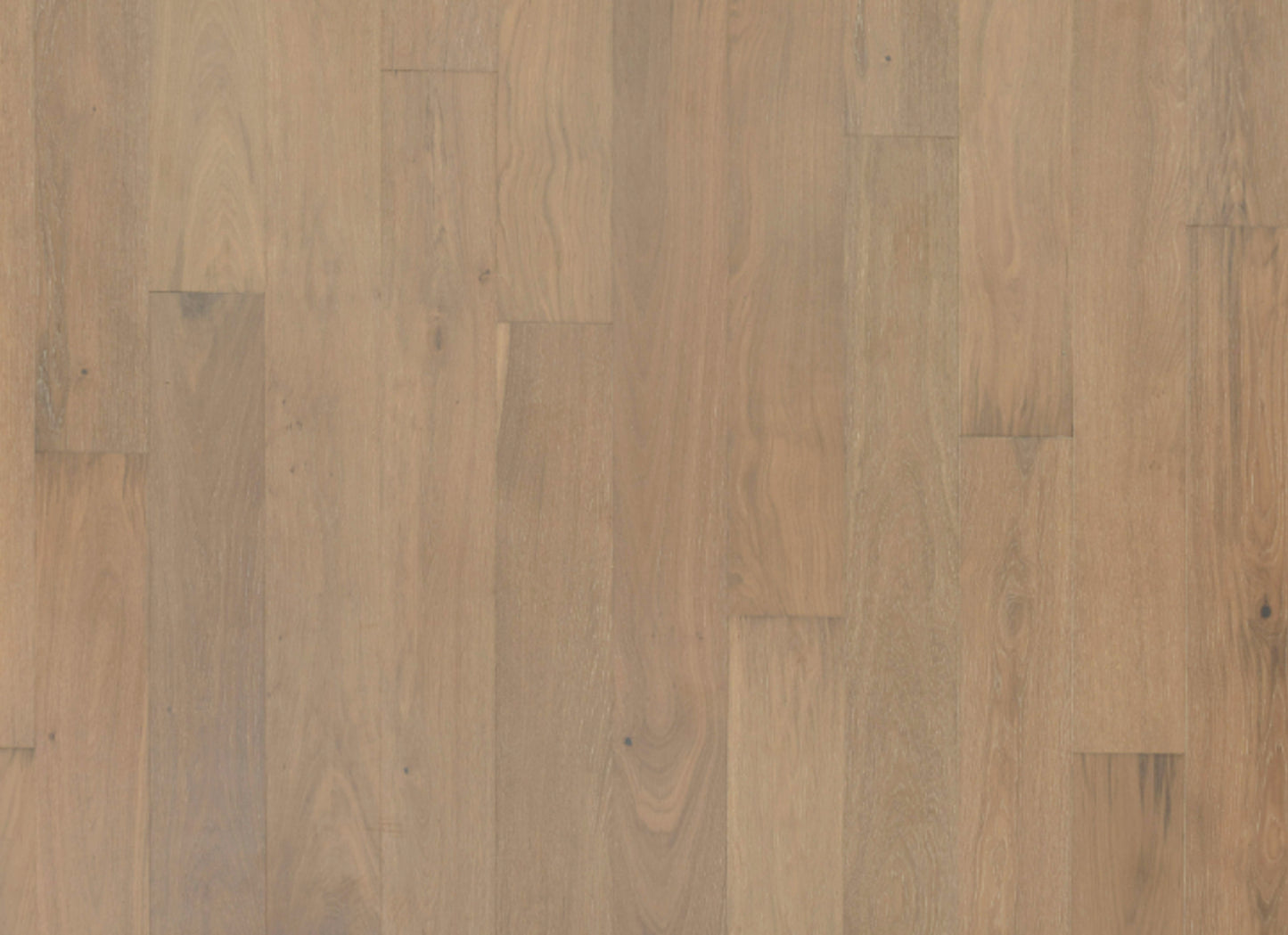 Entrevaux in Oiled Teak Oak