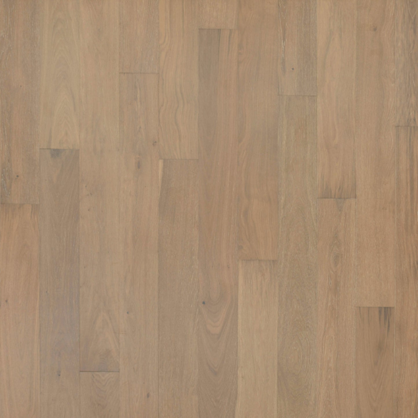 Entrevaux in Oiled Teak Oak