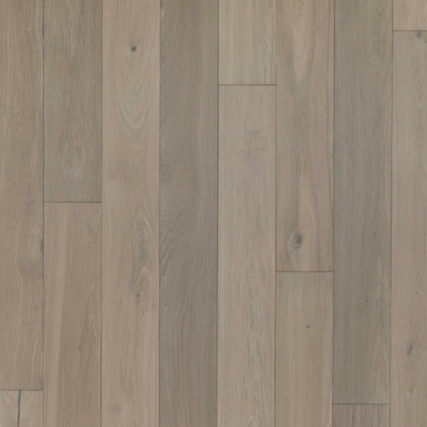 Entrevaux in Oiled Teak Oak