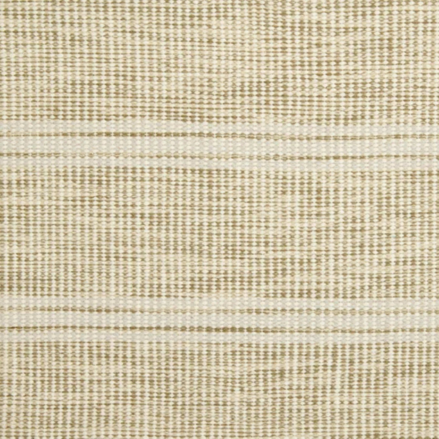 Las Palmas in Green Tea Carpet
