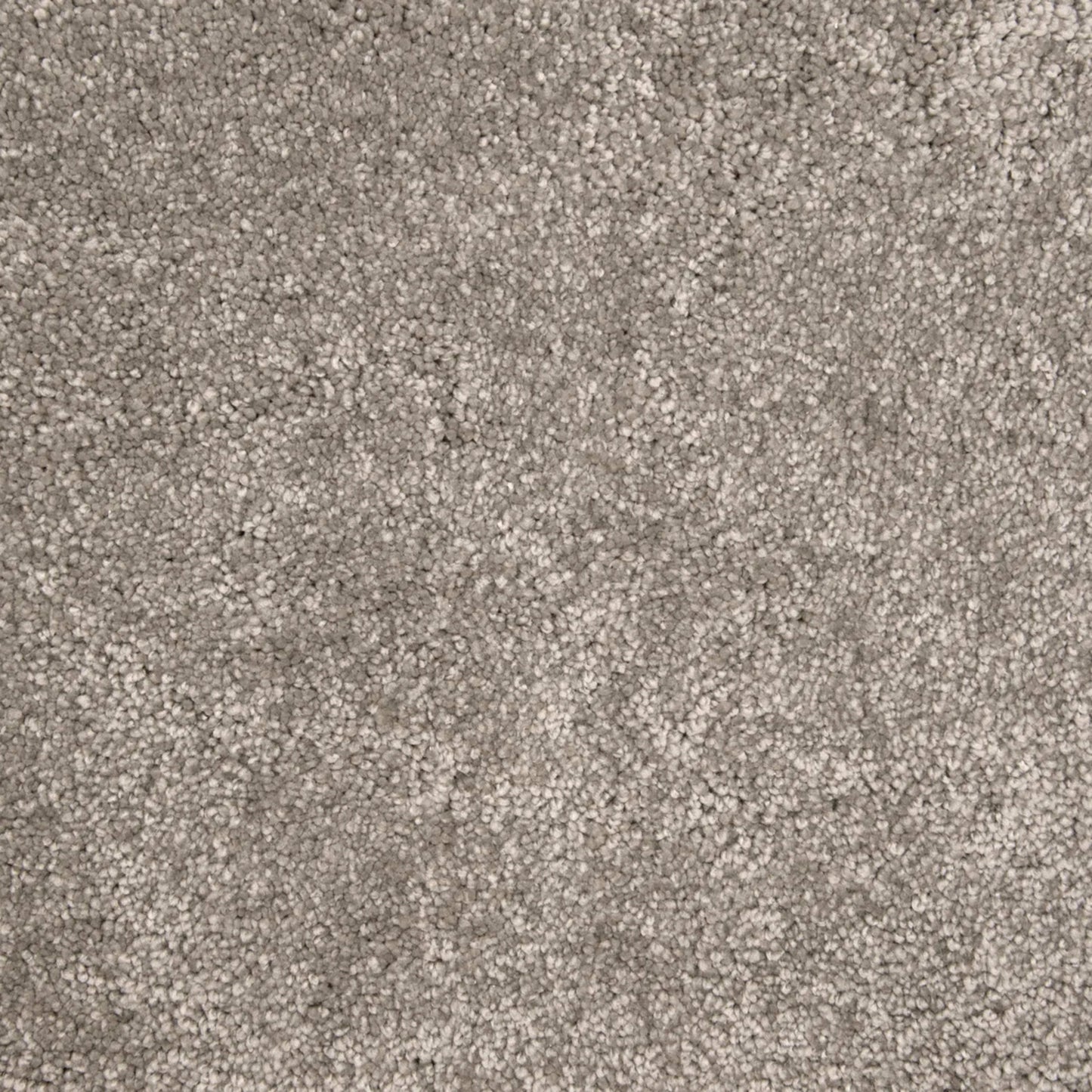 Lancelot in Metal Carpet