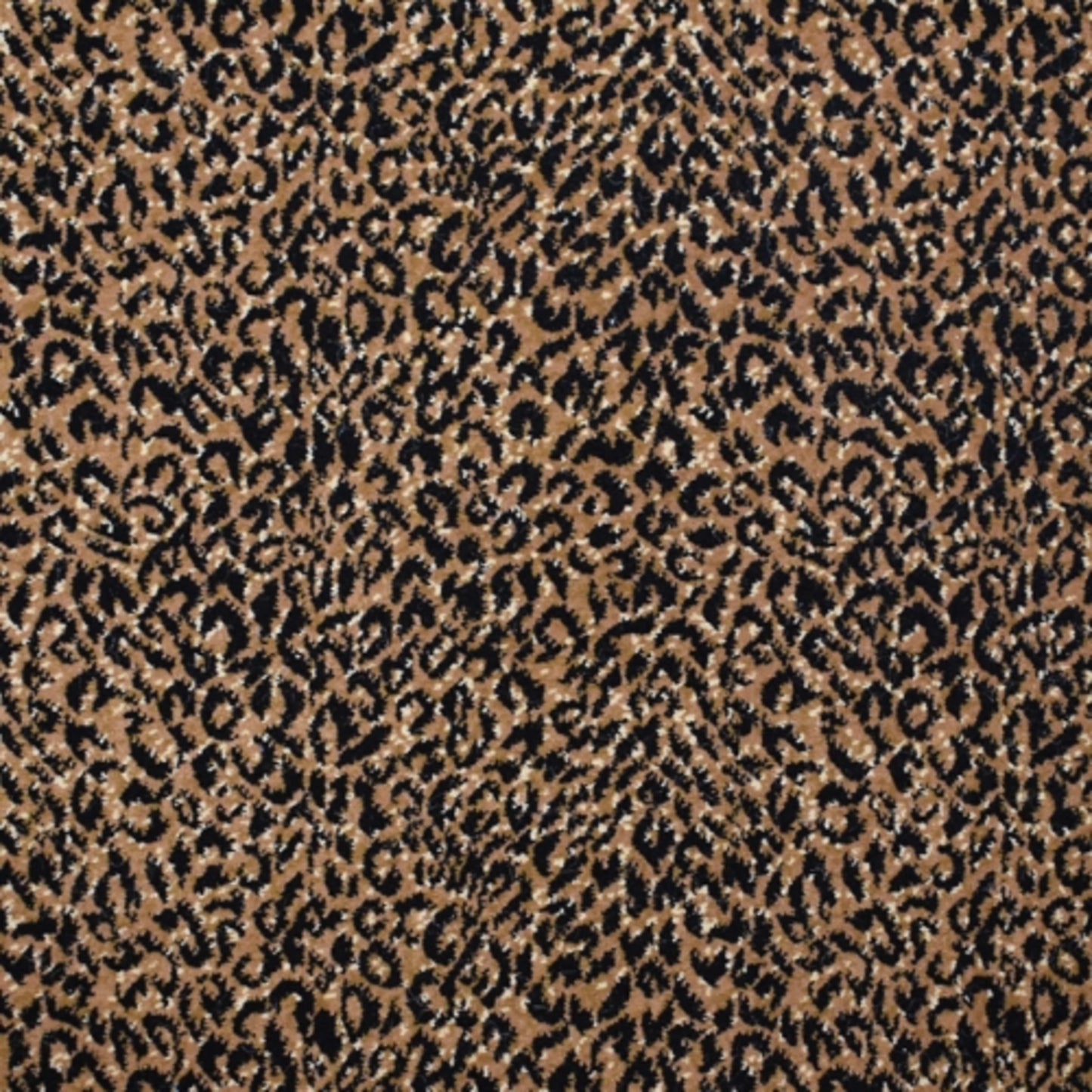 Leopard Series