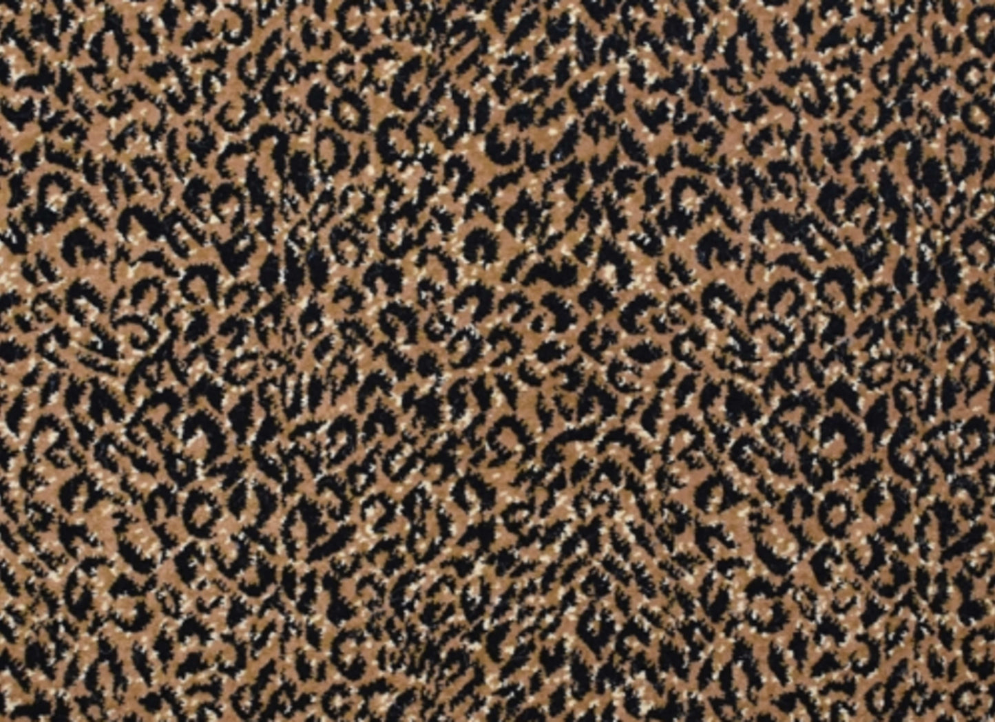 Leopard Series
