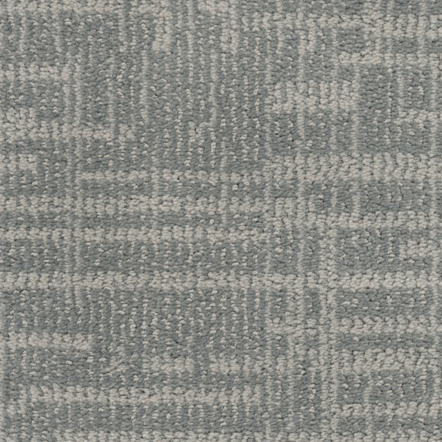 Lineage in Malamute Carpet