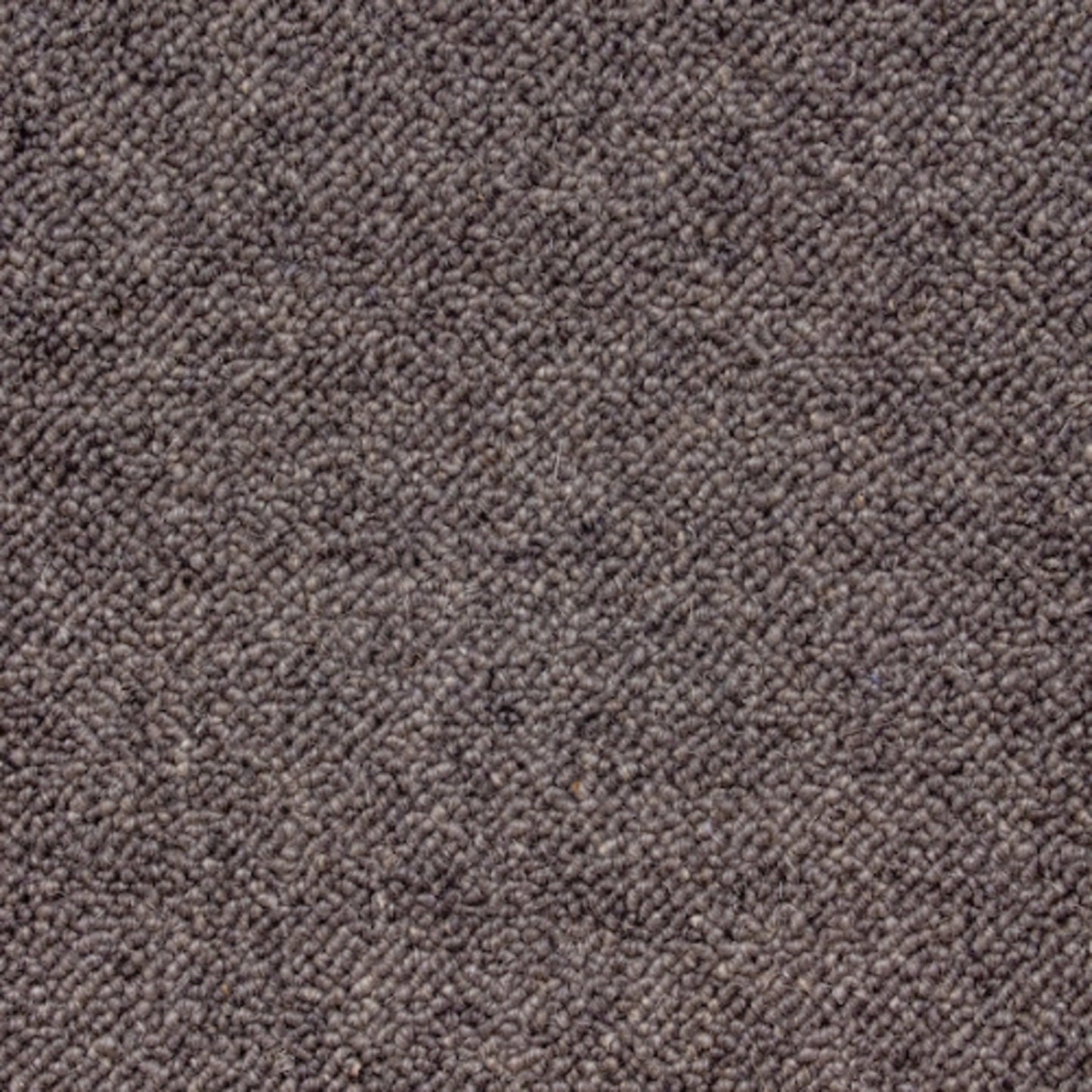 San Marino in 2104 Carpet