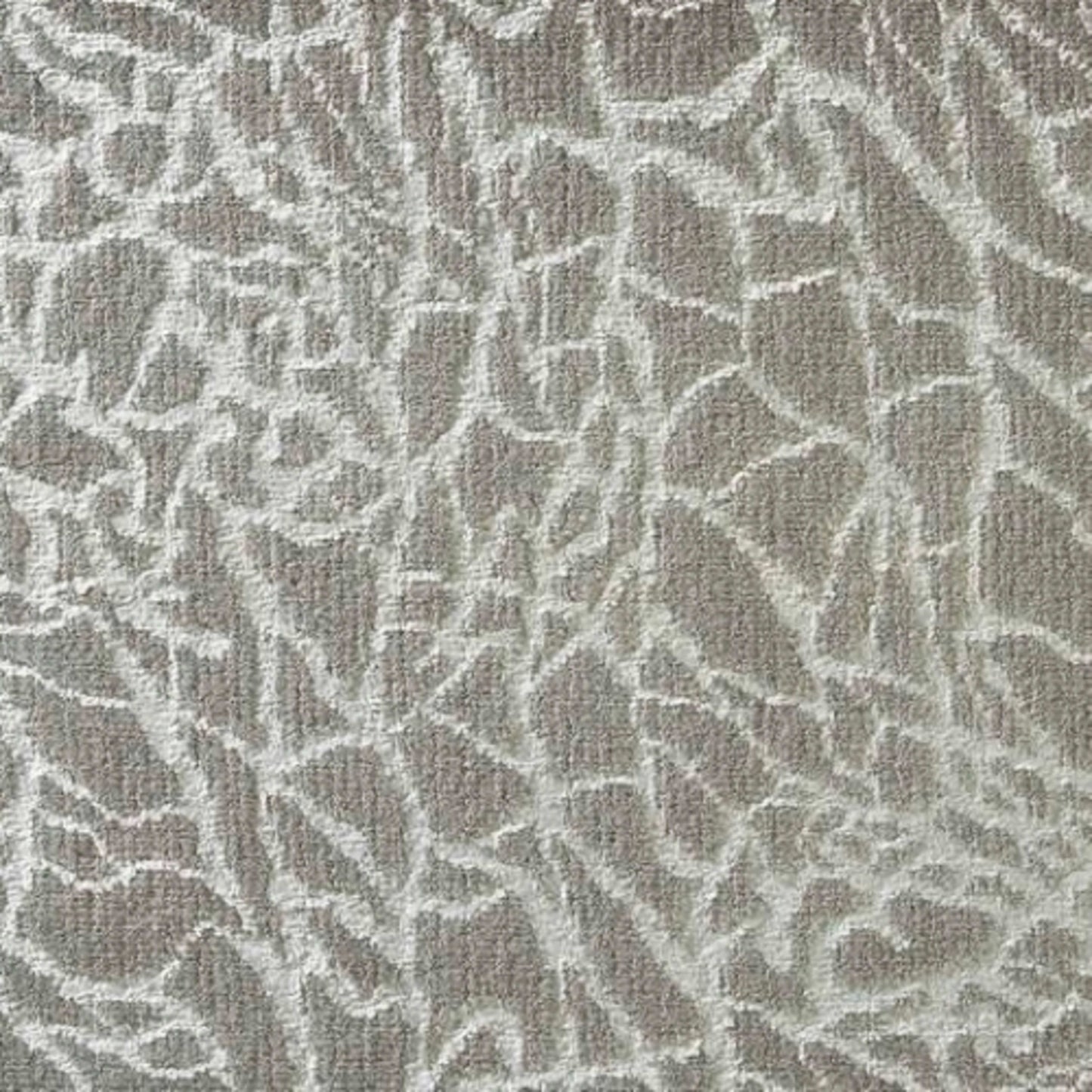Starlight Kinetic in Twilight Carpet