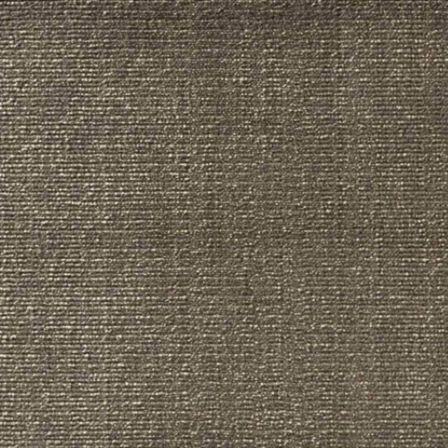 Twilight Velvet in Truffle Carpet