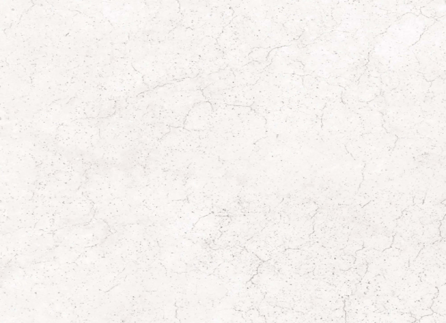 Network in Gray - 12x23