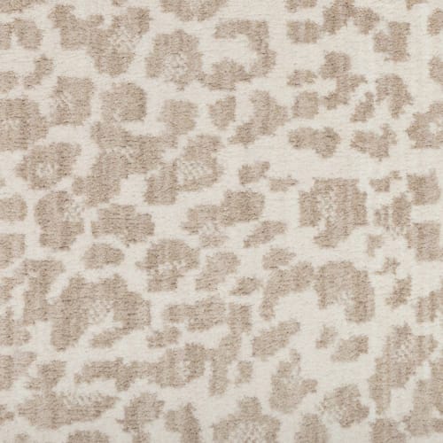 Savanna Leopard