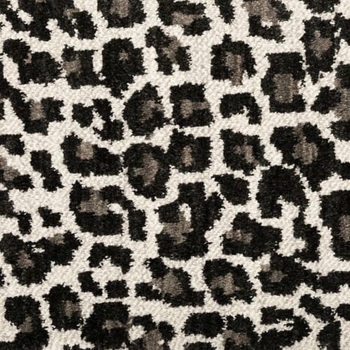 Savanna Leopard