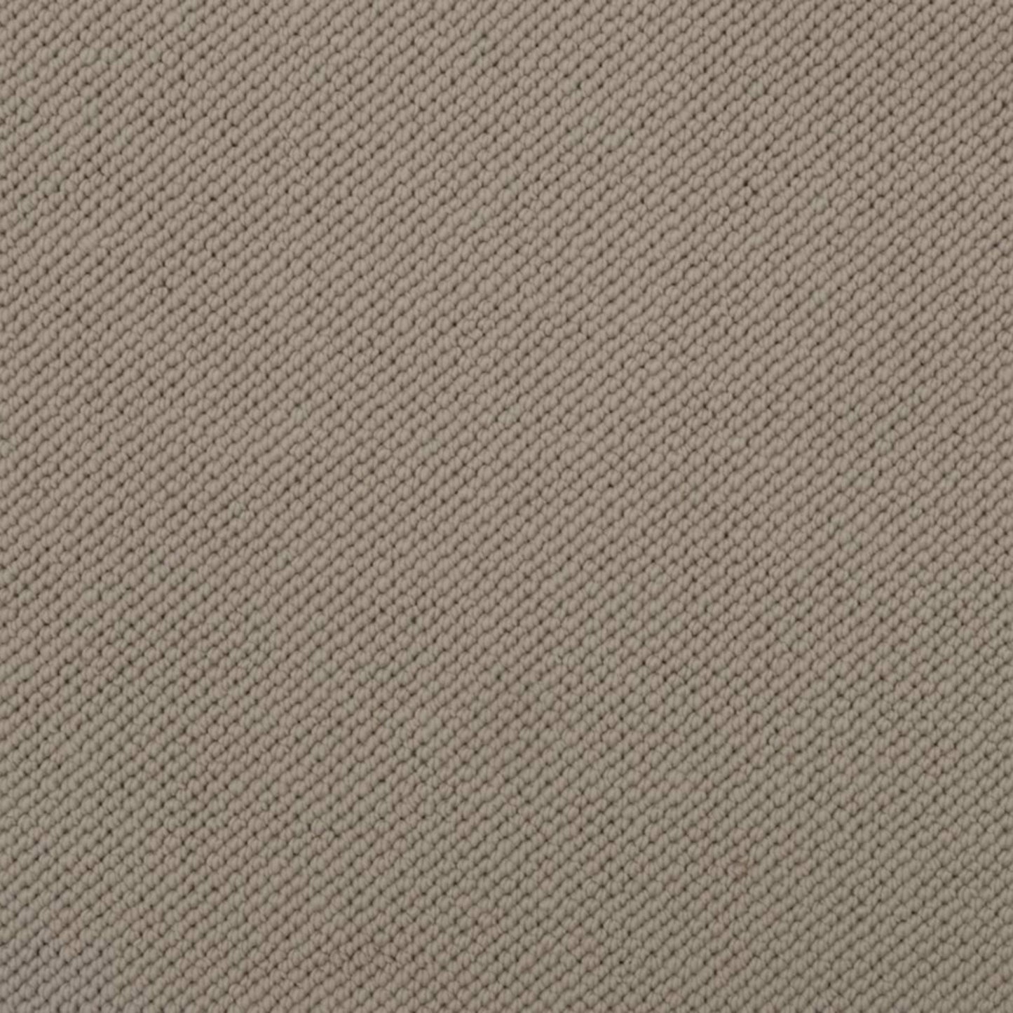 Merino Dreams
