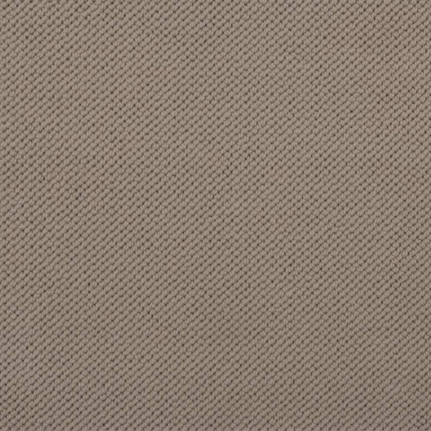 Merino Dreams