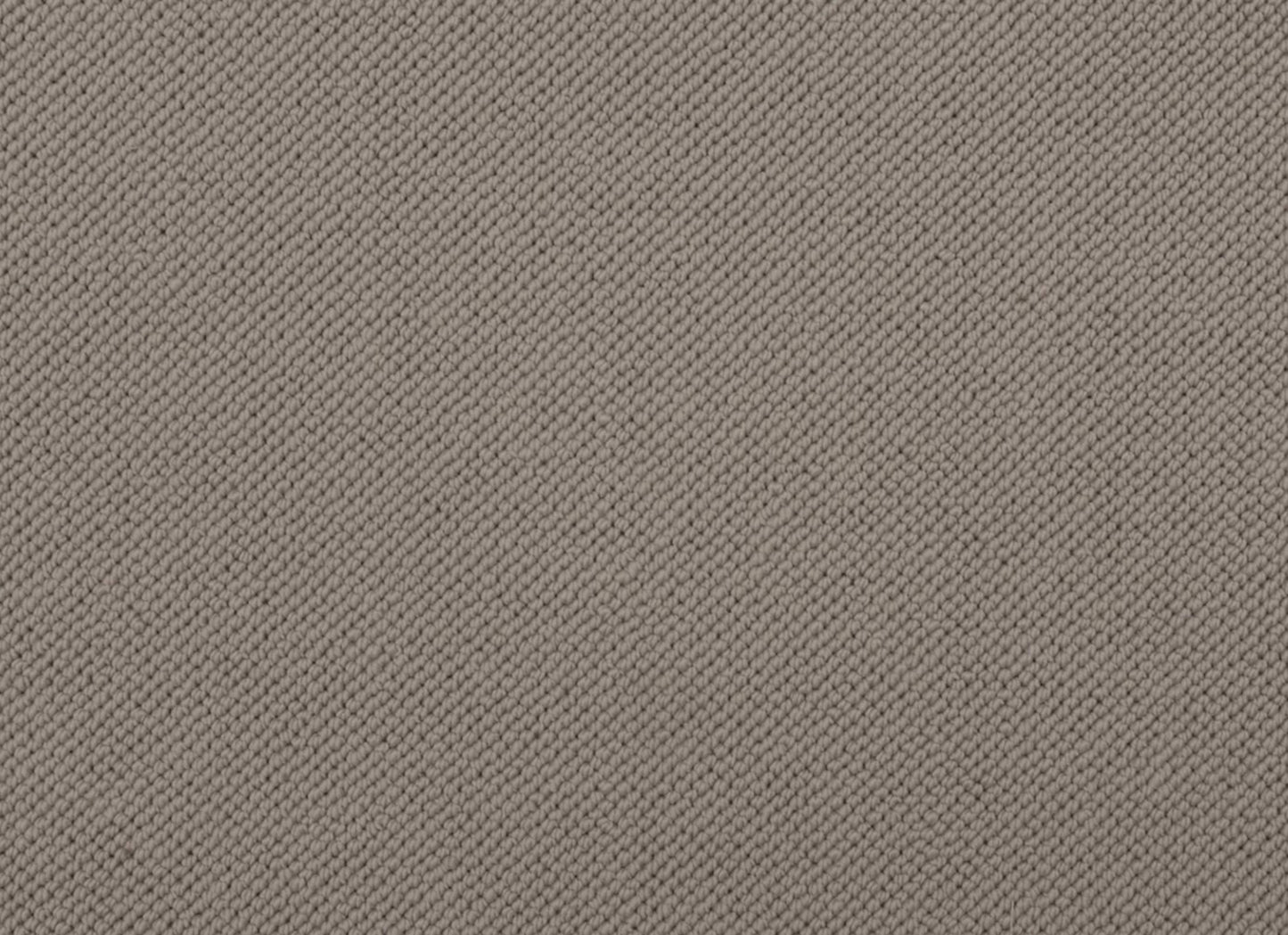 Merino Dreams