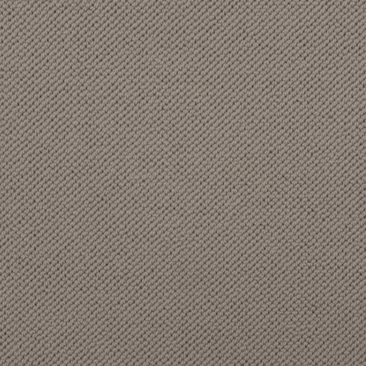 Merino Dreams in Composed Carpet