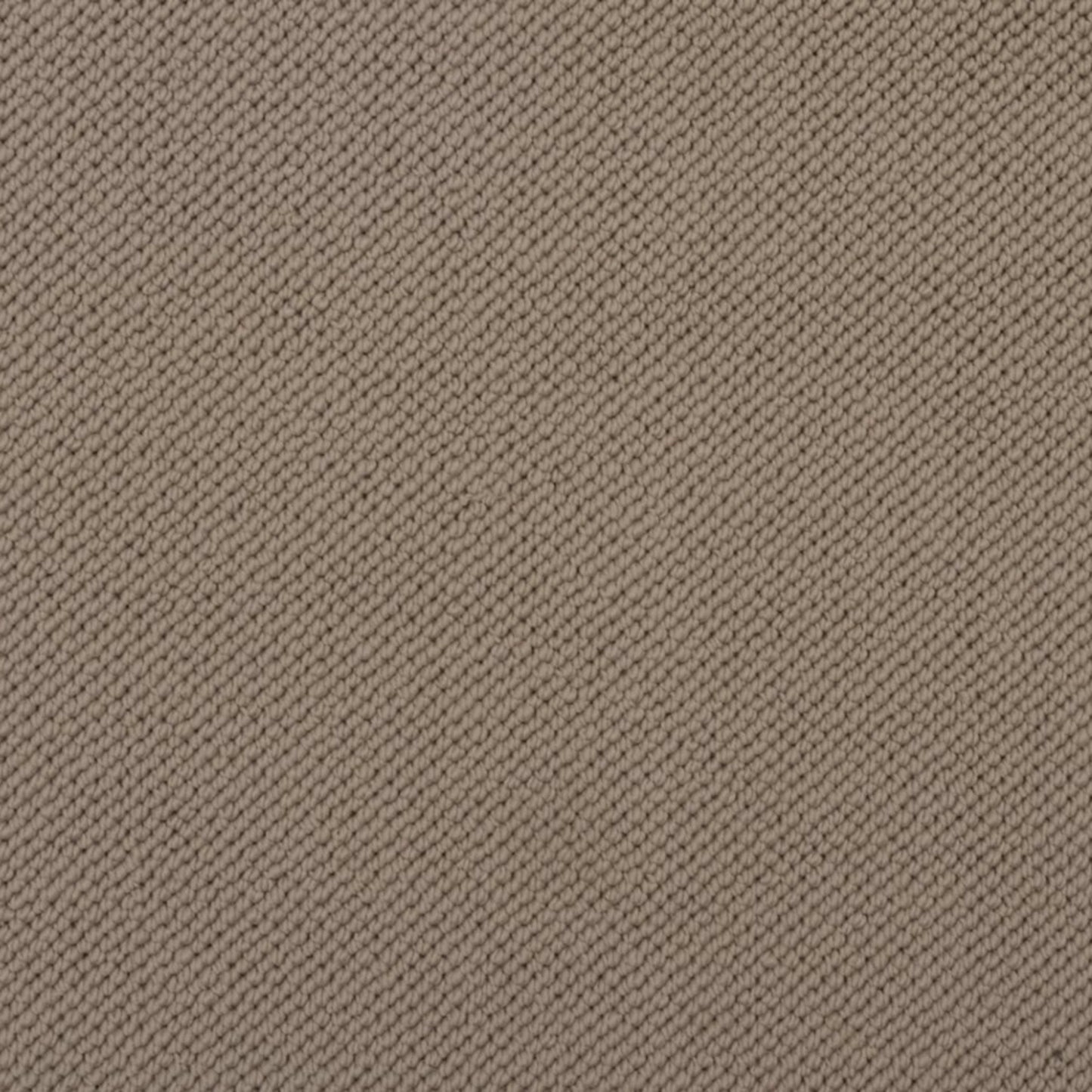 Merino Dreams