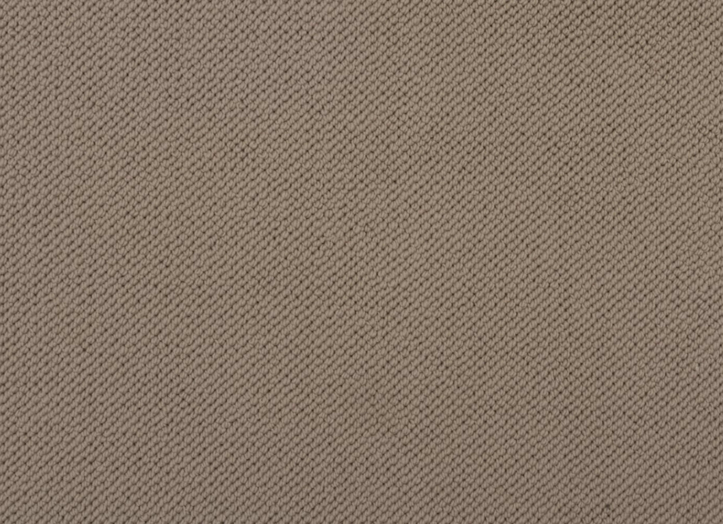 Merino Dreams