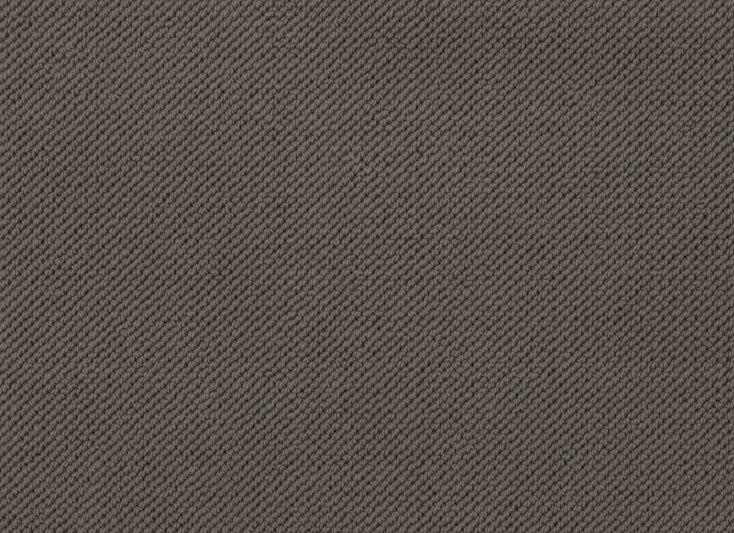 Merino Dreams