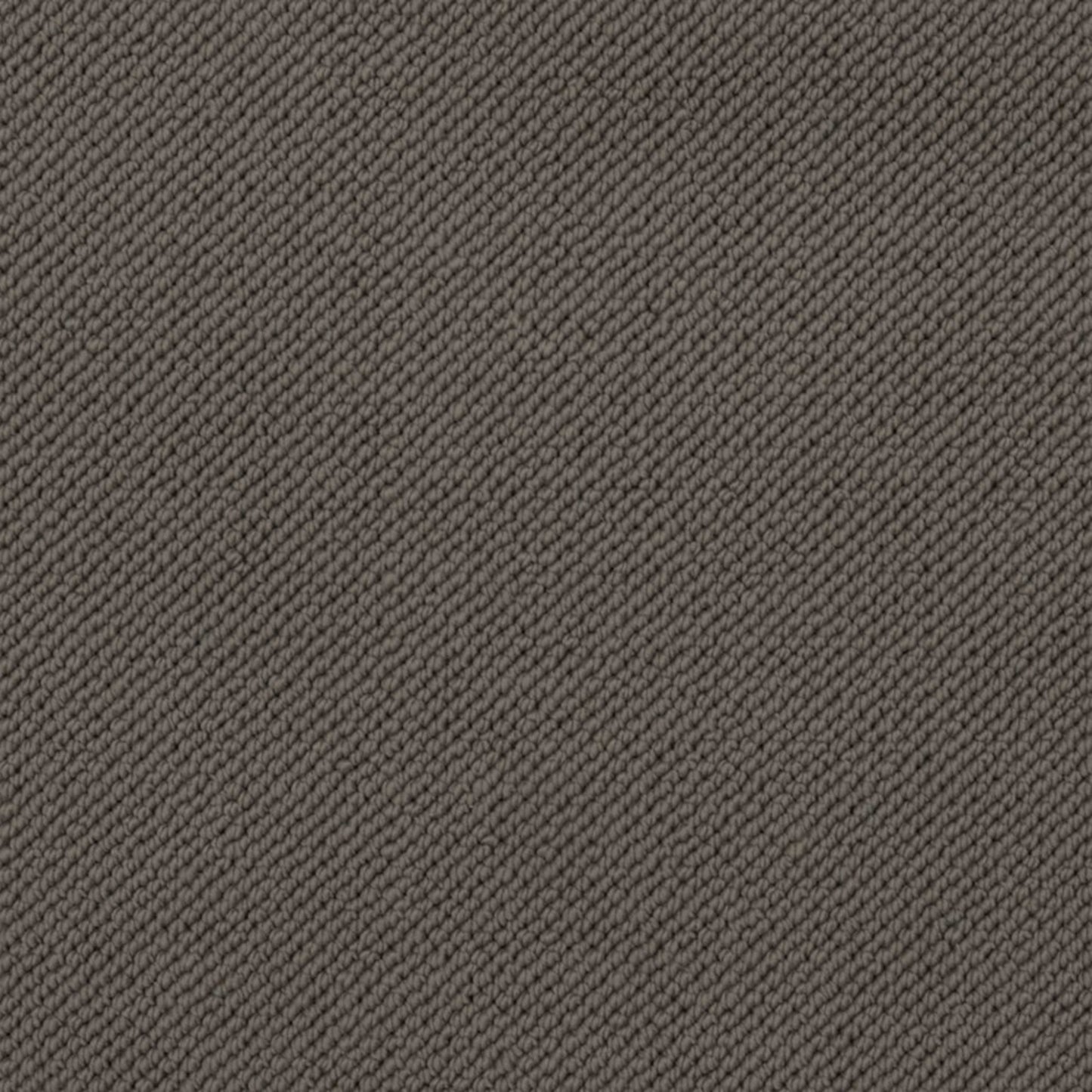 Merino Dreams