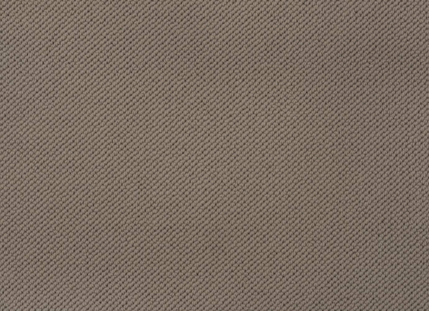 Merino Dreams