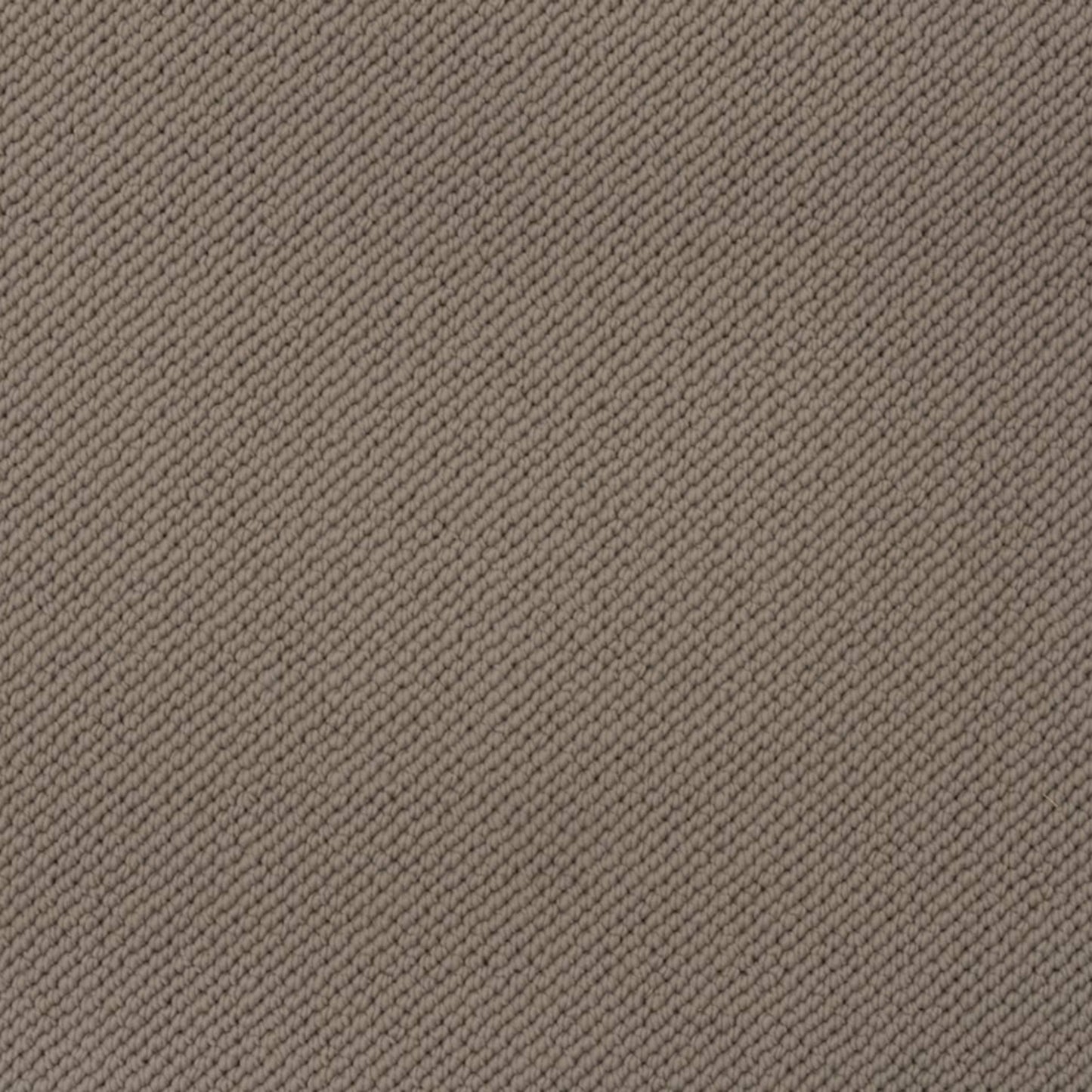 Merino Dreams