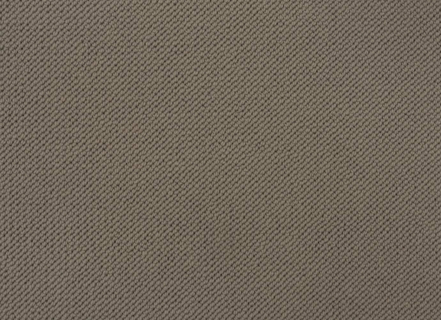 Merino Dreams