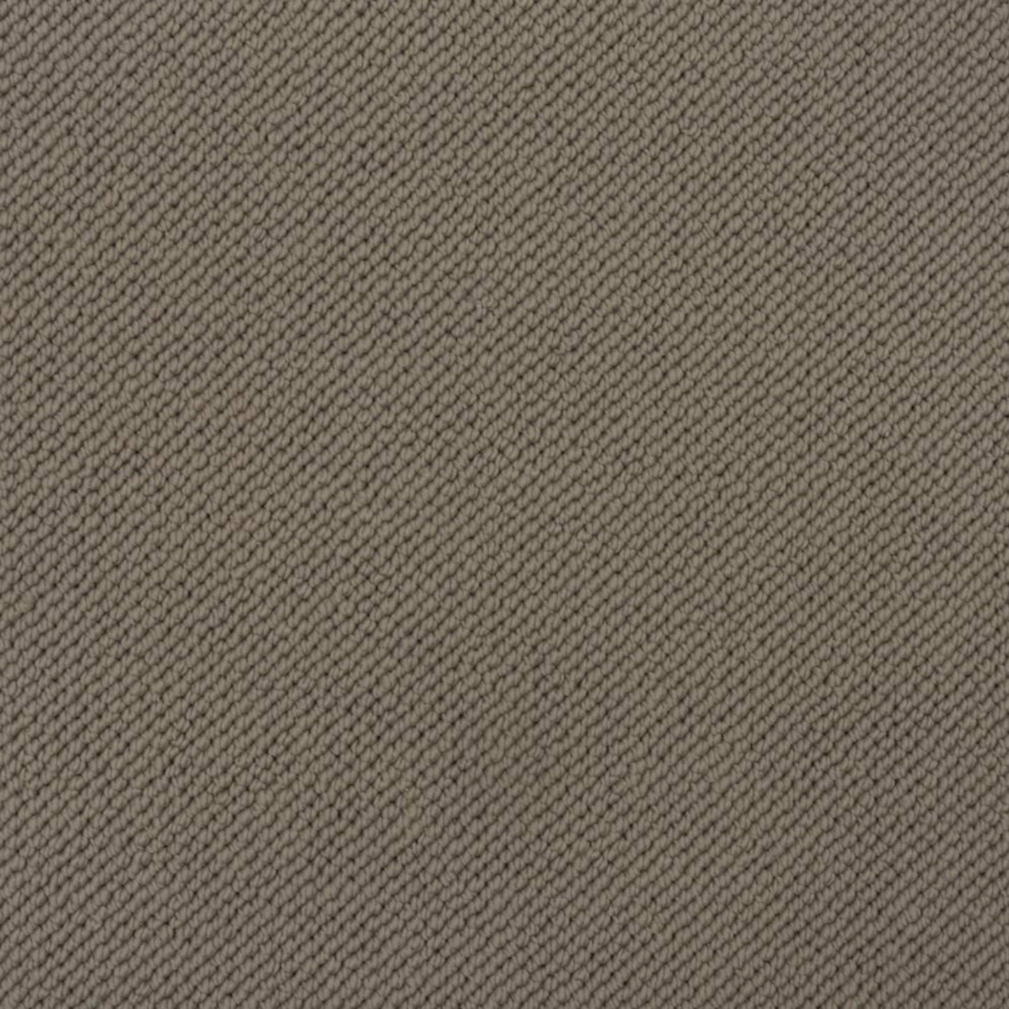 Merino Dreams