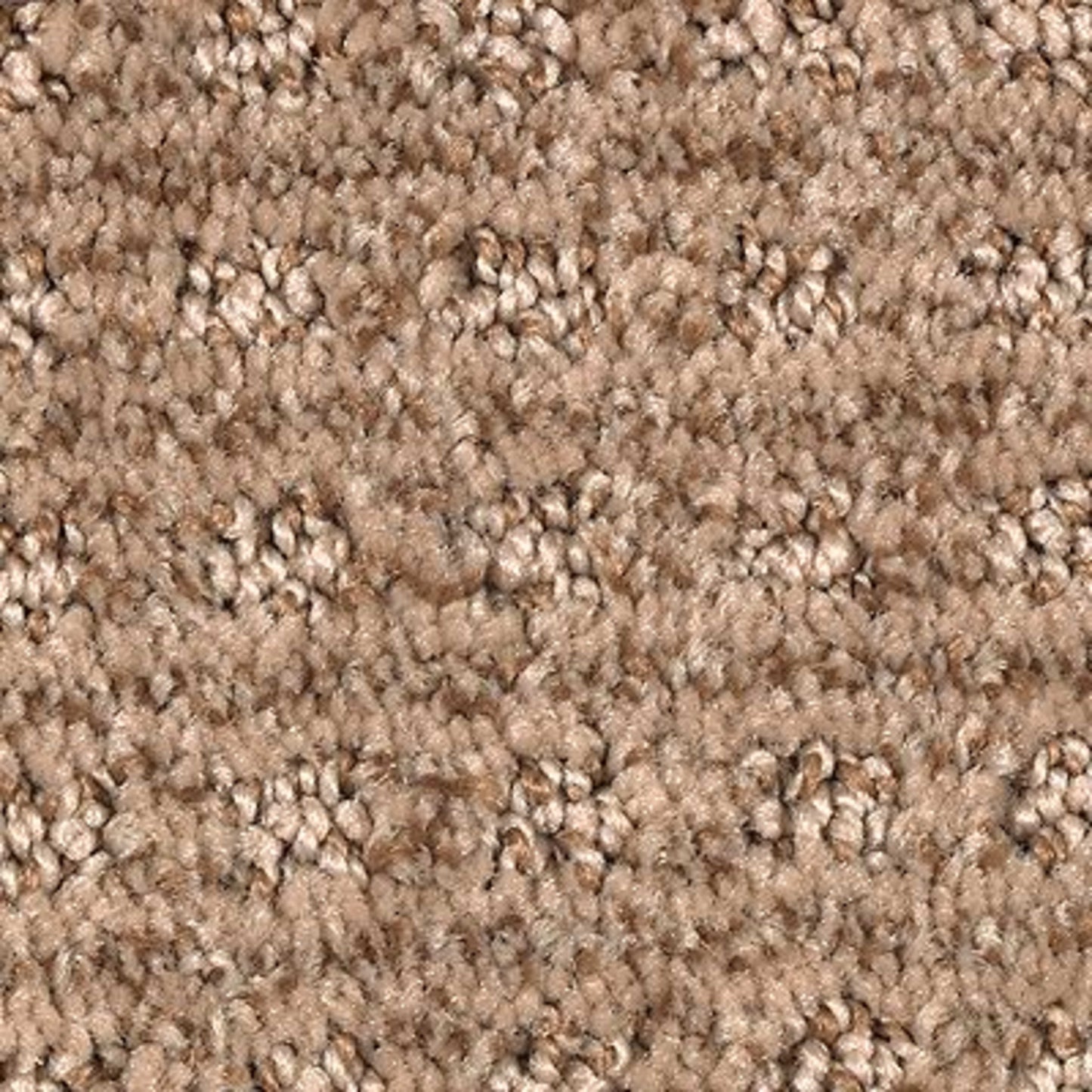 Ultimate Image in Pecan Delight Carpet