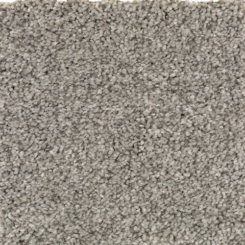 Tonal Chic II