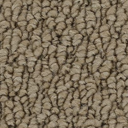 Cozy Classic in Natural Carpet