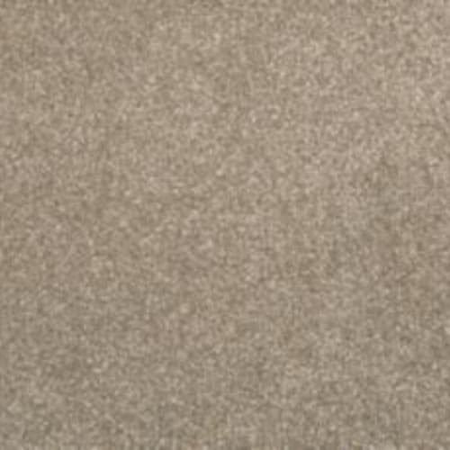 Dynamic Quality I in Iron Clad Carpet