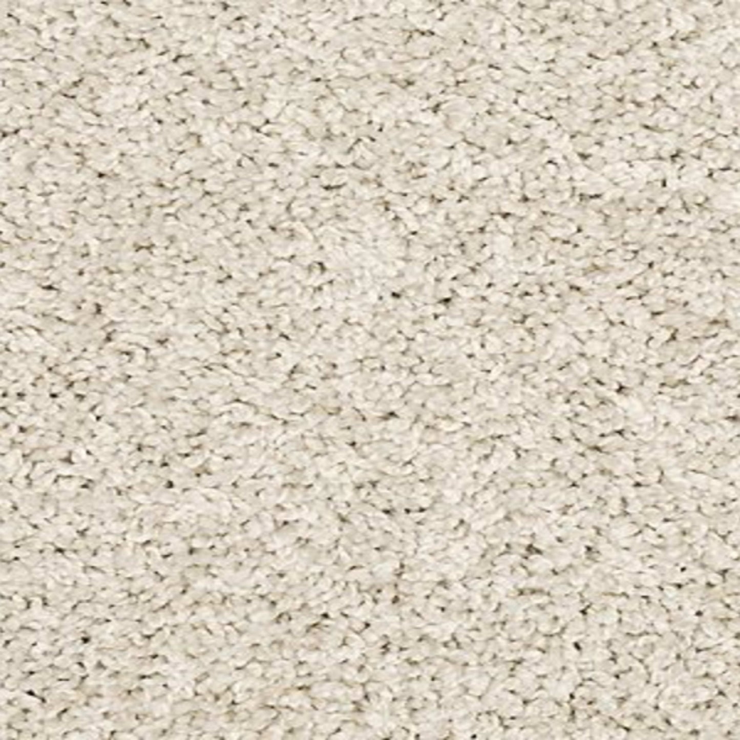 Personal Touch II in Haze Carpet