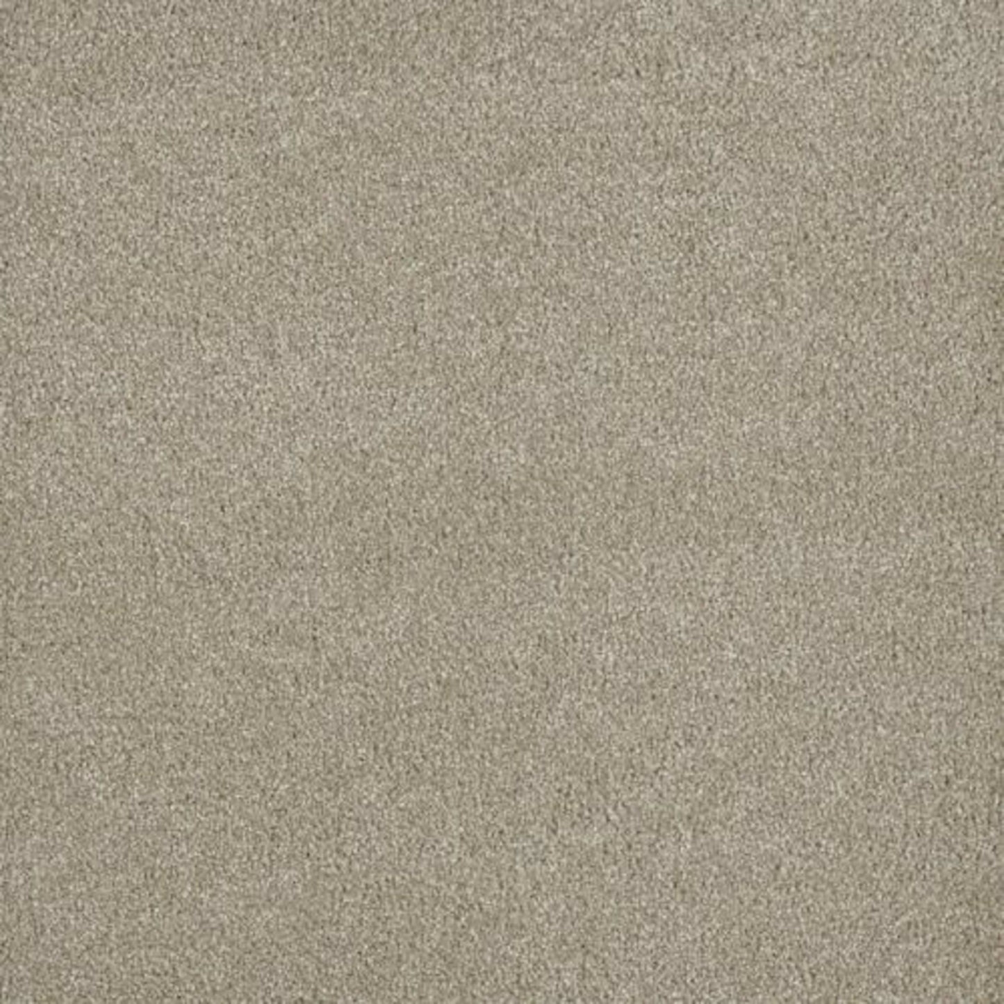 MALIBU II in Oak Barrel Carpet