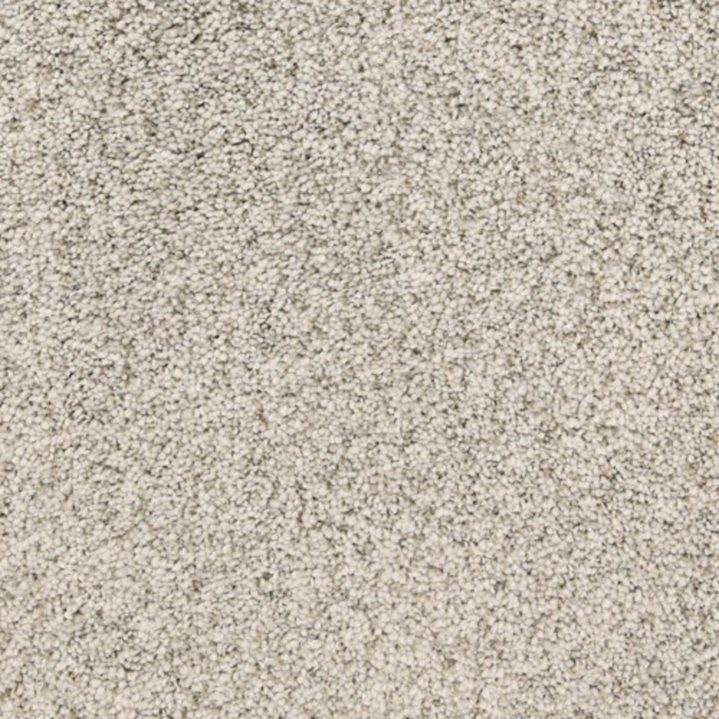 Pacific Grove in Cannery Row Carpet