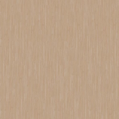 Pro Solutions II in Latte
