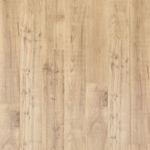 Ellenwood in Maple Sapling