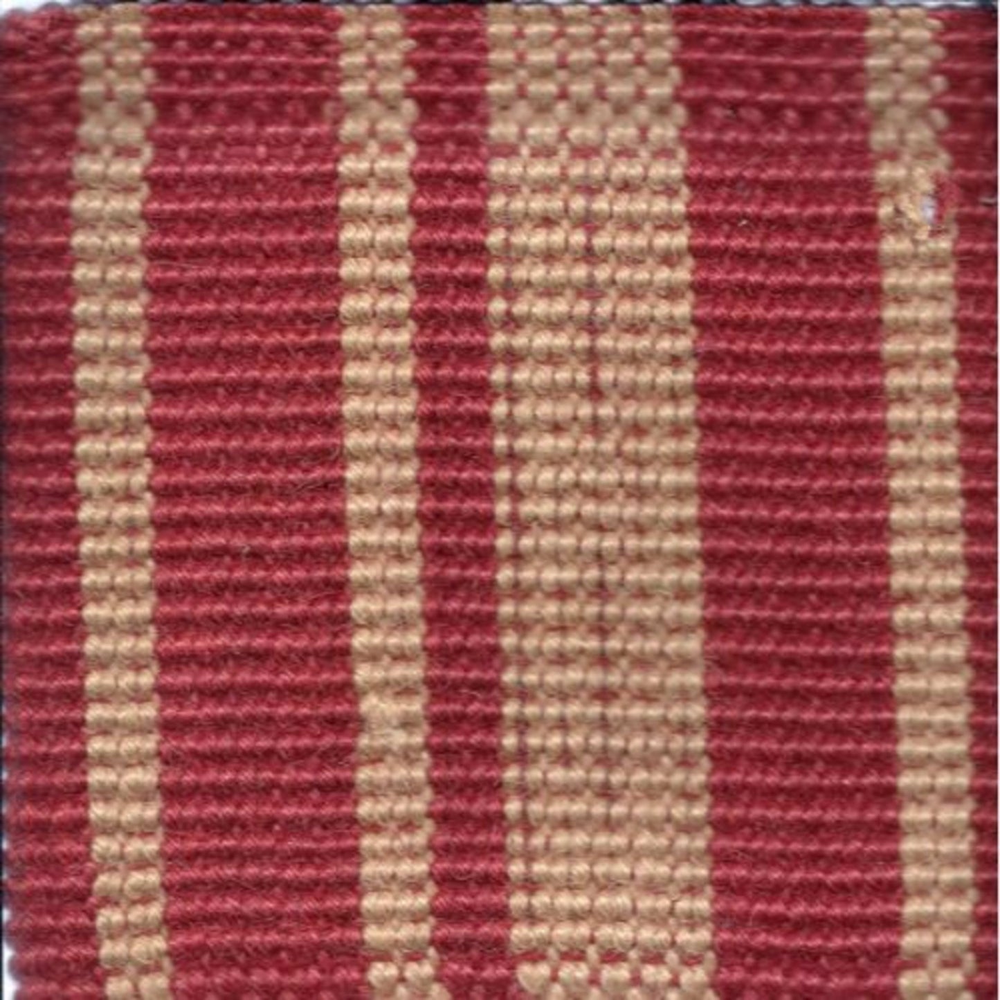 Palm/Natural Collection - Palm Fibre