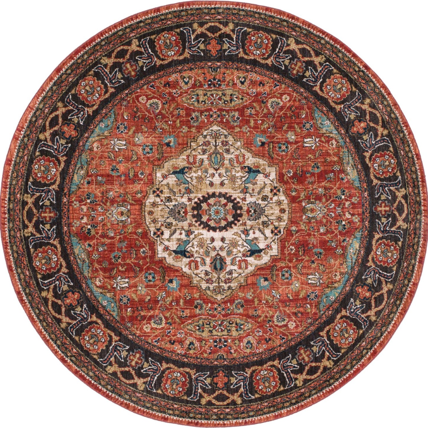Petra Multi