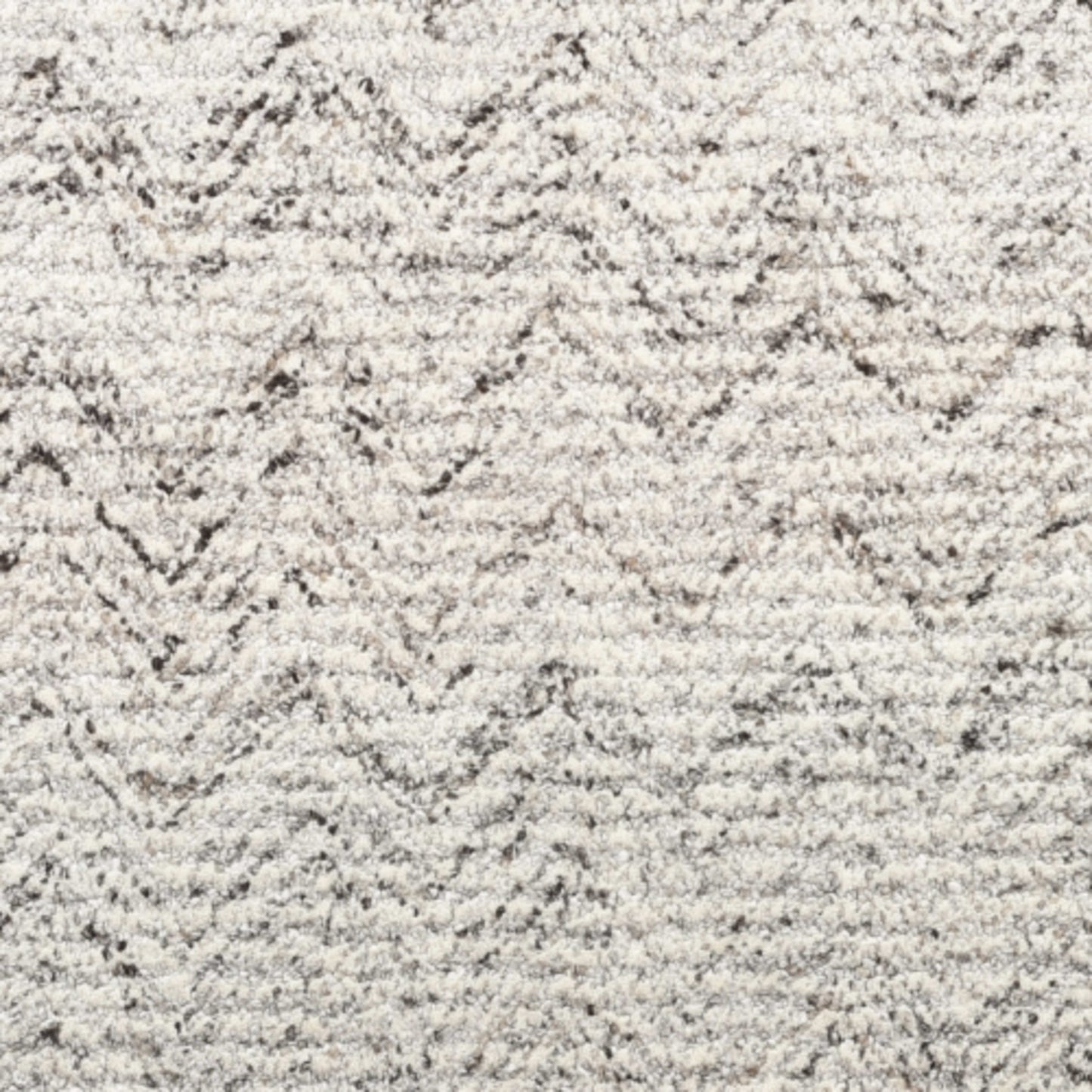 Premium in Paramount Carpet