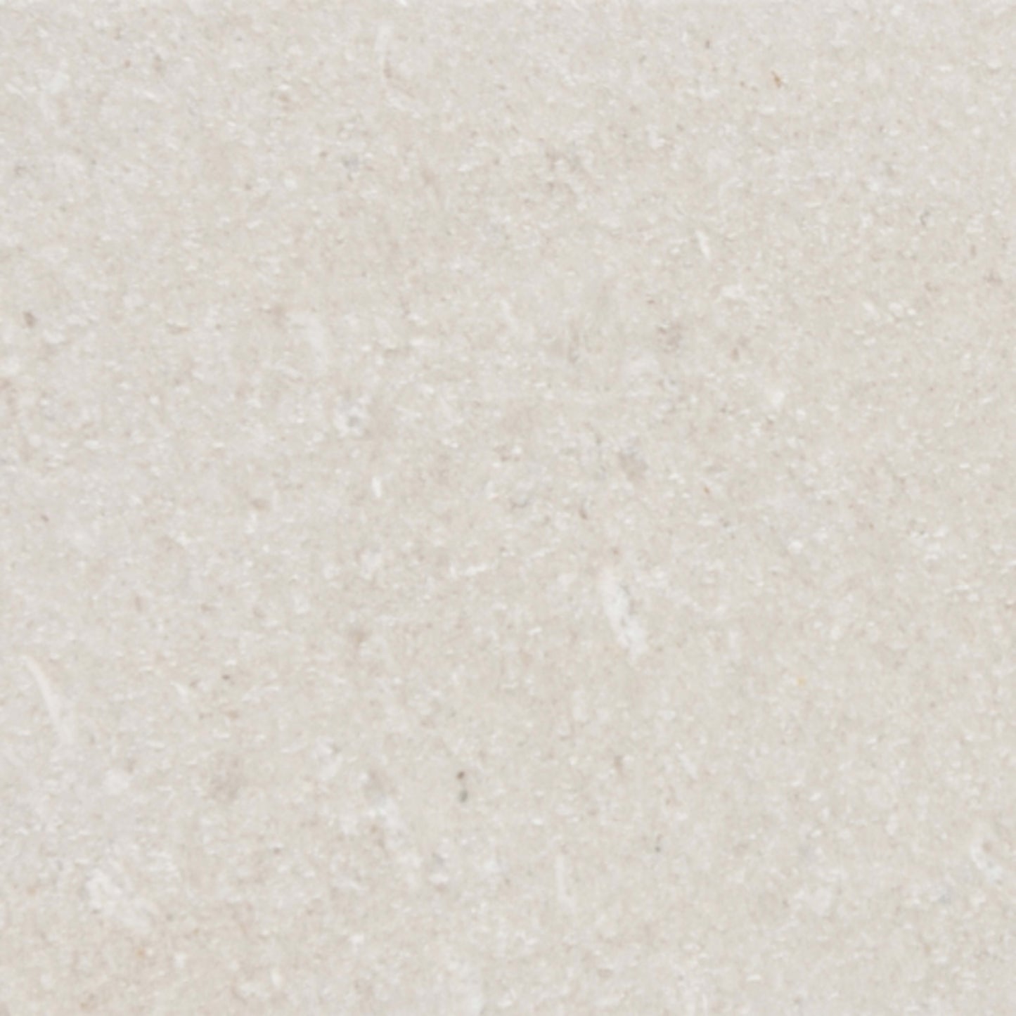 Limestone in Presidio Ivory 12"x24" Natural Stone