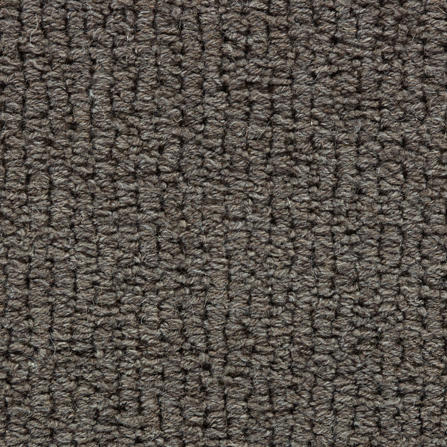 Laredo Corde in Dark Brown Carpet