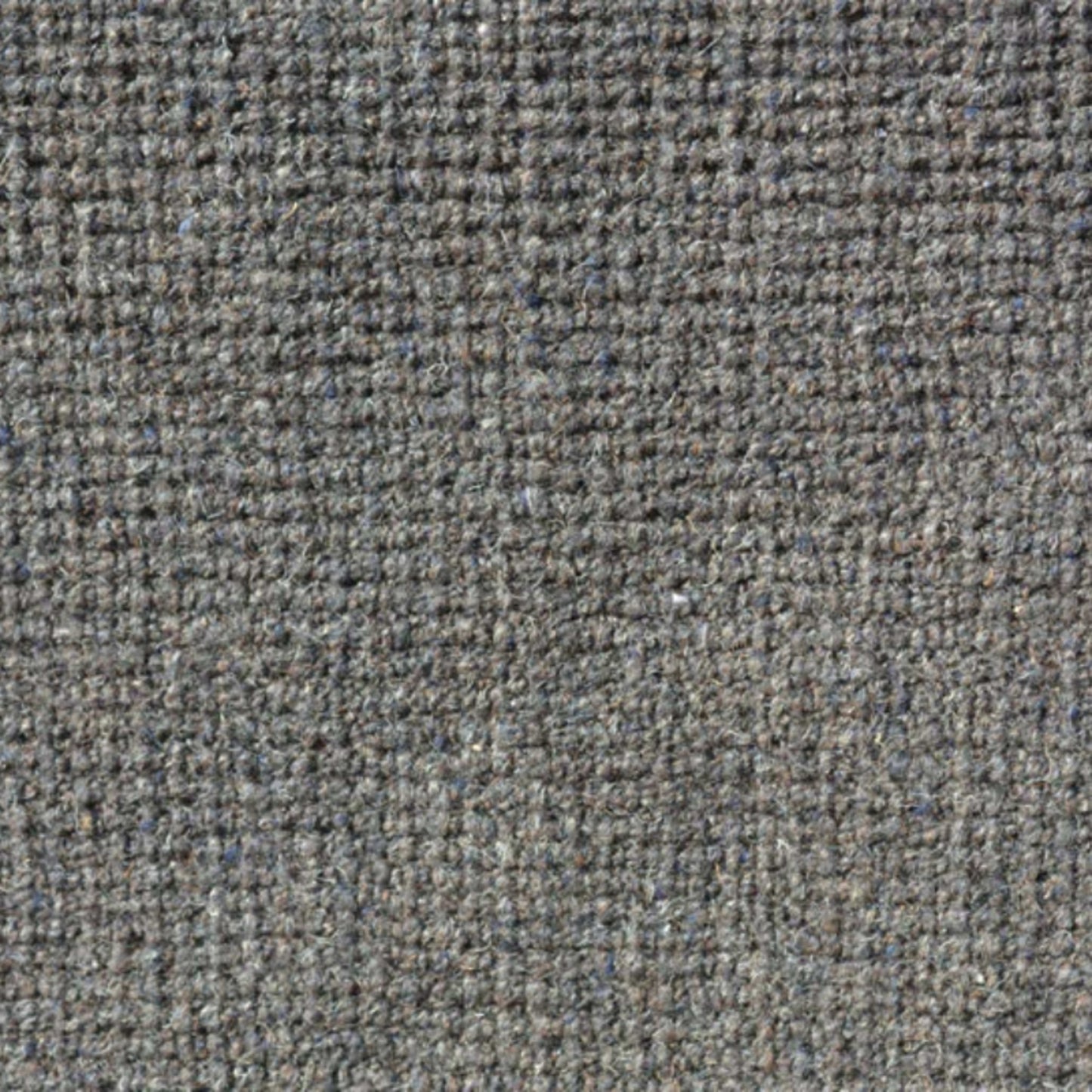 Rosewood in Midnight Carpet