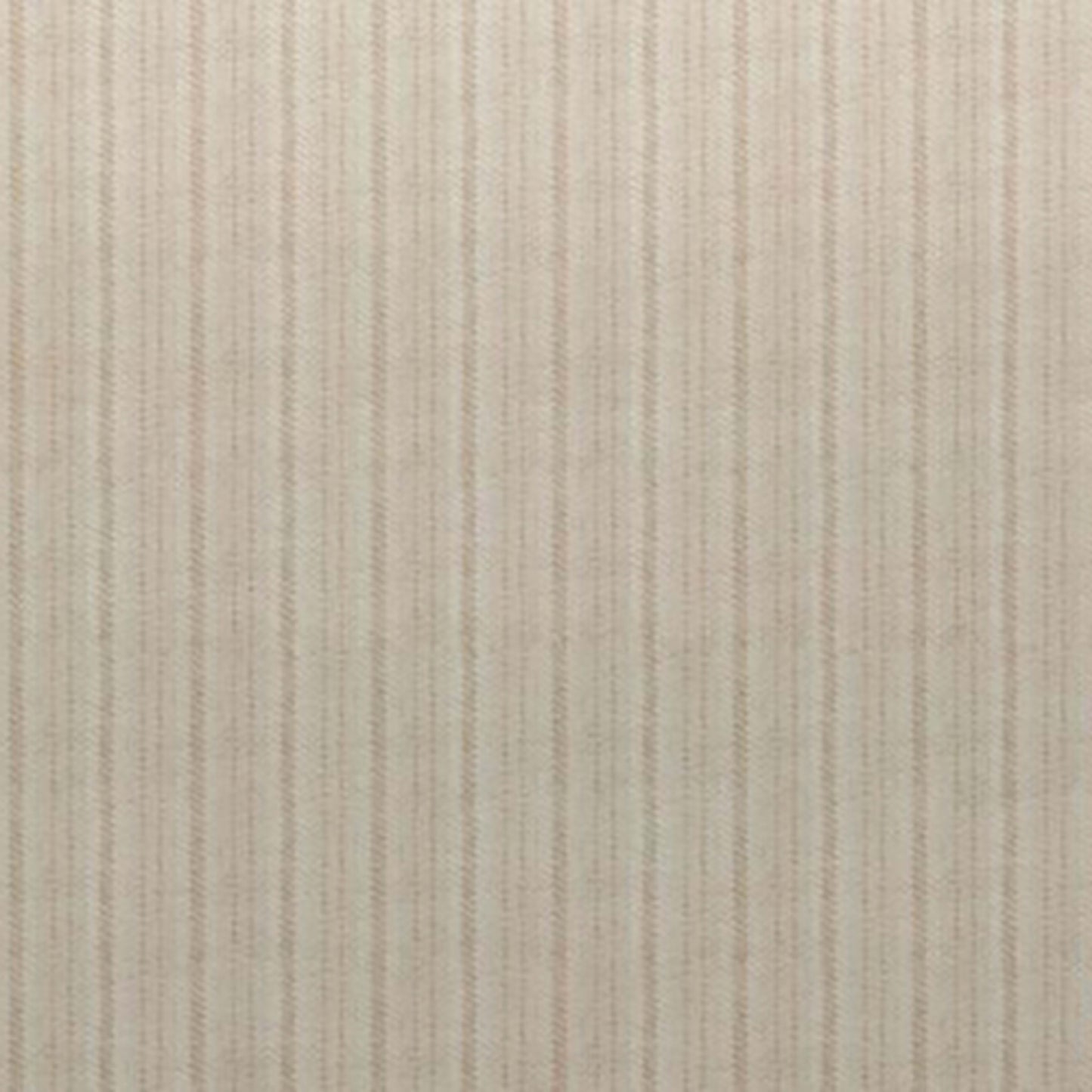 Trance in Buff Carpet
