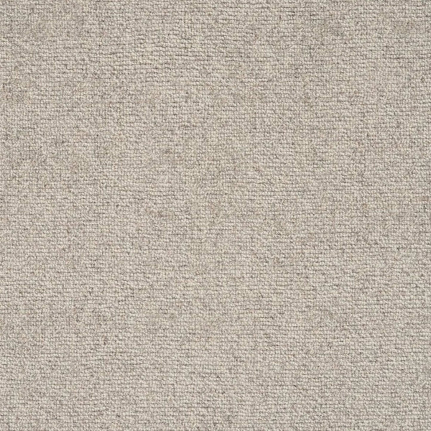 Broadview in Silver Carpet